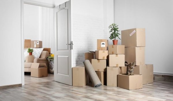 House-Removal-Boxes3
